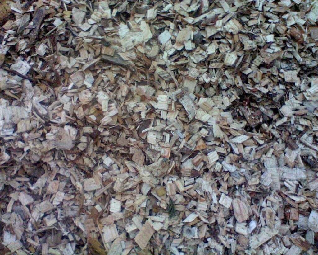 softwood21