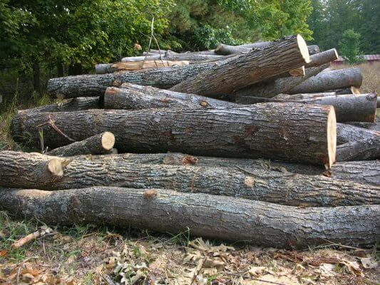 whole log fw